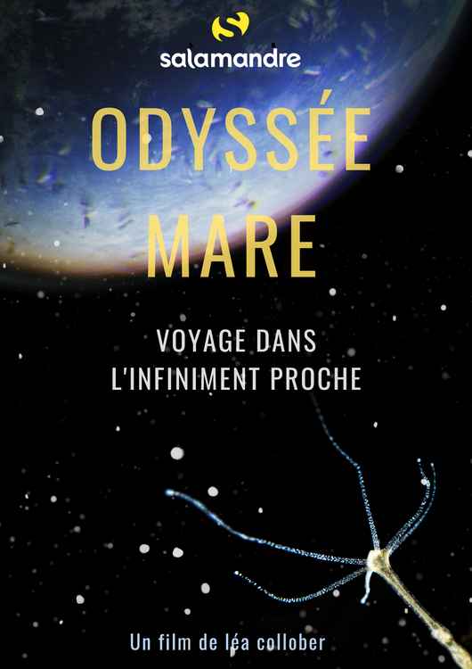 Odyssée mare-affiche film